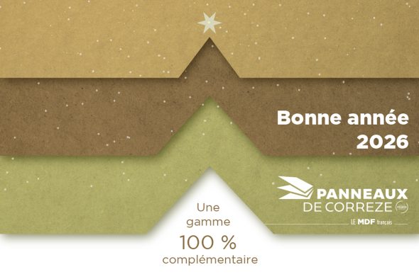 Carte 2 version Bonne Année 2026 16 12 2025